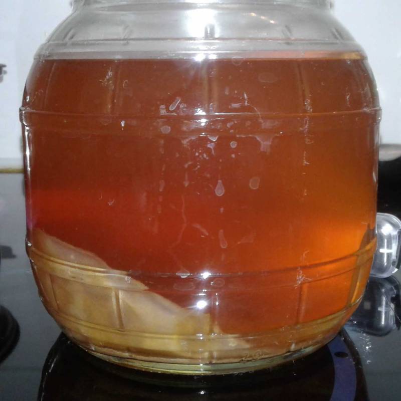 Kombucha Dokuwiki Orangina Rouge